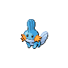 Marshtomp