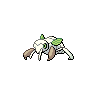 Ninjask