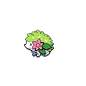 Shaymin Pokemon Black 2 and White 2 Sprite