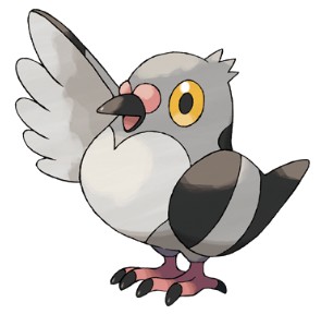 Pokemon Black White Bird Mamepato