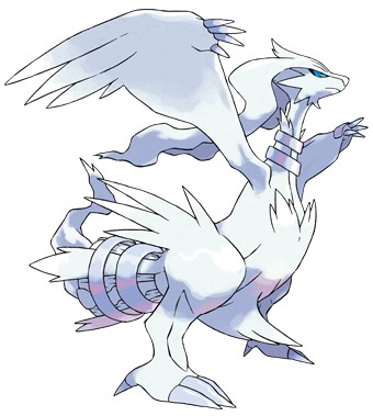 Pokemon Black White Reshiram Legendary
