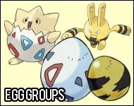 Pokemon Black and White Egg Groups