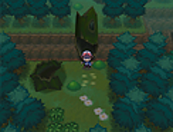 Pokemon Black White Screenshots Zoroark Zorua