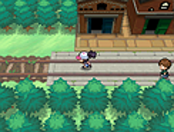 Pokemon Black White Screenshots Zoroark Zorua
