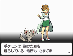 Pokemon Black White Screenshots Zoroark Zorua