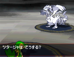 Pokemon Black White Screenshots Zoroark Zorua