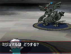 Pokemon Black White Screenshots Zoroark Zorua