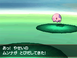 Pokemon Black White Screenshots Zoroark Zorua