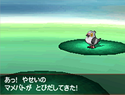 Pokemon Black White Screenshots Zoroark Zorua