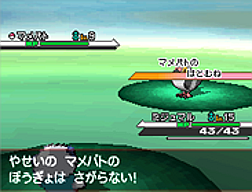 Pokemon Black White Screenshots Zoroark Zorua