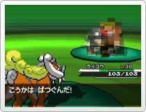 Pokemon Black White Screenshots Zoroark Zorua