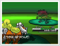 Pokemon Black White Screenshots Zoroark Zorua