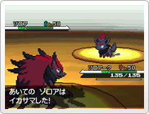 Pokemon Black White Screenshots Zoroark Zorua