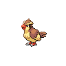 Pidgeot