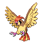 Pidgeot