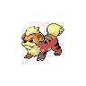 Arcanine