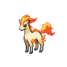 Rapidash