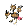 Doduo
