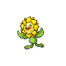 Sunkern