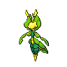 Swadloon