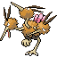 Doduo