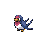Swellow