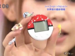 PokeWalker
