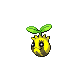 Sunflora