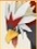 PokePark 2 Braviary