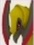 PokePark 2 Haxorus