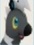 PokePark 2 Blitzle