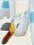 PokePark 2 Wingull