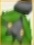 PokePark 2 Burmy