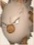 PokePark 2 Primeape