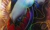 Darkrai EX Dark Explorers Artwork