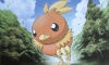 Torchic Dark Explorers Artwork