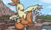 Combusken Dark Explorers Artwork