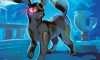 Umbreon Dark Explorers Artwork