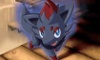 Zorua Dark Explorers Artwork
