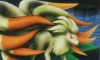 Ninetales Dragons Exalted Artwork