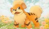 Growlithe Next Destinies Artwork